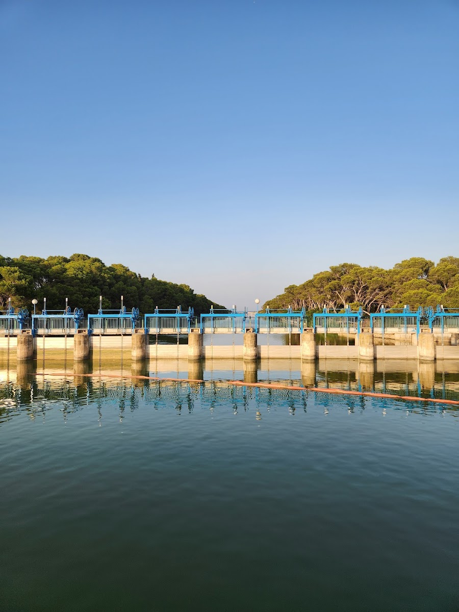 Embarcadero de la Gola de Pujol foto 9